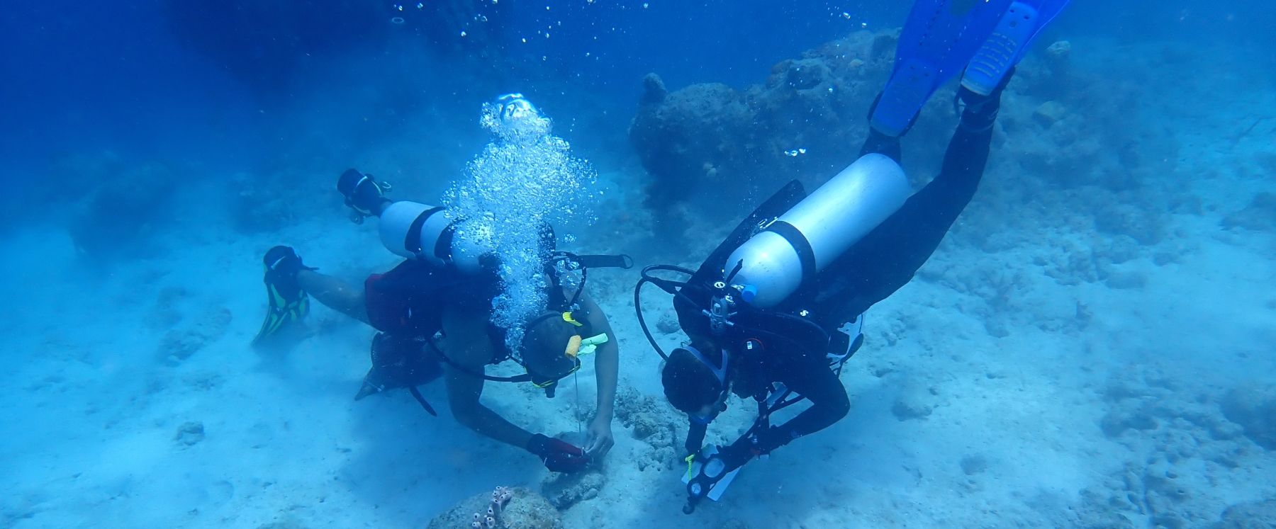 Underwater Fieldwork in Curaçao